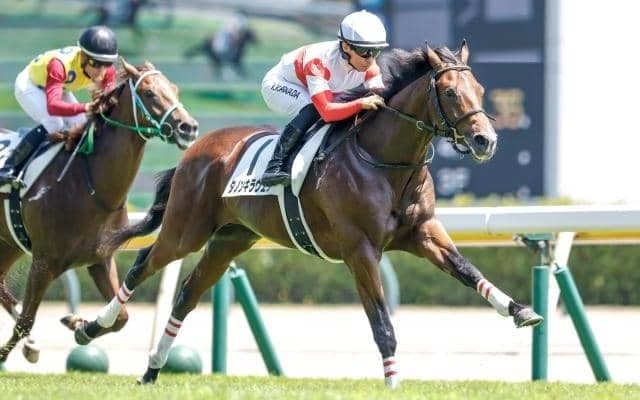 【デイリー杯2歳S出走馬・騎手確定】ダノンキラウェア＆川田将雅騎手、ジャンタルマンタル＆鮫島克駿騎手など11頭