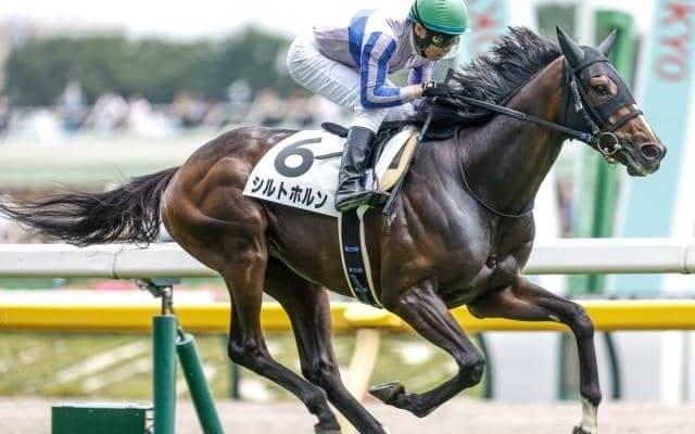 【福島記念出走馬・騎手確定】シルトホルン＆大野拓弥騎手、ウインピクシス＆松岡正海騎手など16頭