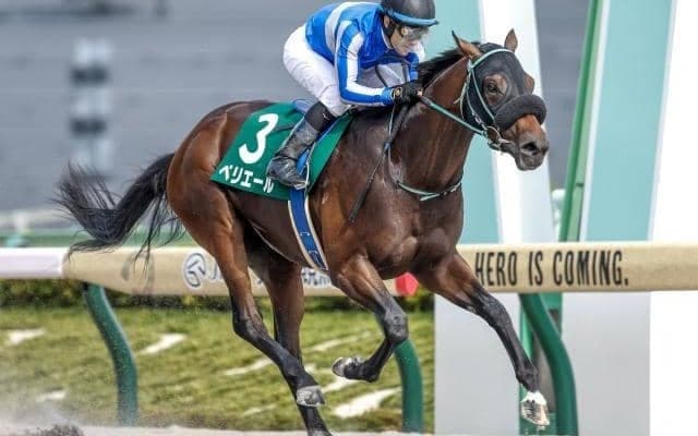 【武蔵野S出走馬・騎手確定】ペリエール＆C.ルメール騎手、ドライスタウト＆横山武史騎手など16頭