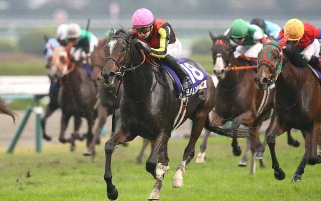 【エリザベス女王杯／全頭診断】想定8人気以下に「2.0.1.0」　”前走は参考外”の穴馬候補