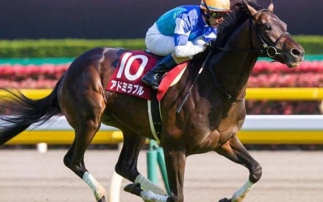 父アドミラブルに「一筋の光」 新馬快勝の産駒がデイリー杯2歳Sで“孝行息子”になる