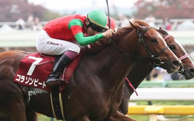 【京王杯2歳S】横山武「馬の力に助けられた」コラソンビートが重賞初制覇