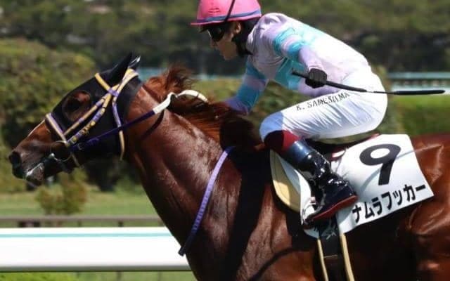 大活躍中のスワーヴリチャード産駒に要注目 デイリー杯2歳Sにも1頭参戦