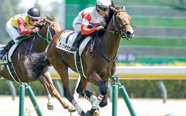 【今日の注目ポイント】デイリー杯2歳Sなど3重賞 高田騎手の復帰、熊沢騎手の引退など