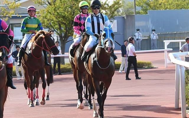 【武蔵野S予想】師走の中京への切符をかけた一戦 コース適性とキャリアが物をいう