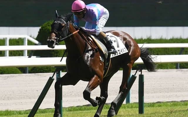 【デイリー杯2歳S予想】スピードと瞬発力が求められる2歳GI前哨戦 本番に弾みをつけるのはどの馬か