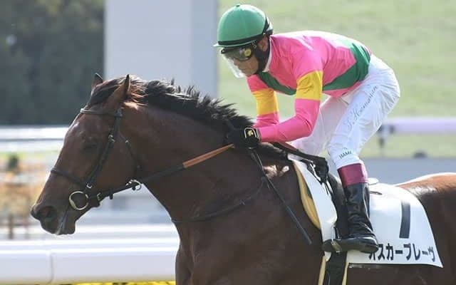 【京都5R新馬戦結果】米加でG1・4勝オスカーパフォーマンス産駒のオスカーブレーヴが逃げ切りV！