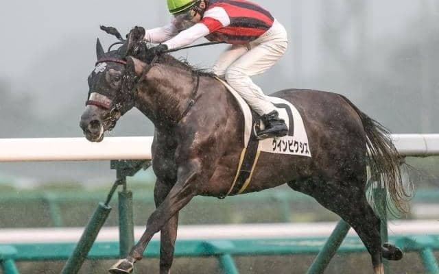 【福島記念予想】実力のバロメーターは前走人気!? 大敗からの巻き返しに警戒したいハンデ戦