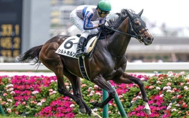 【福島記念前日オッズ】シルトホルンが5.6倍で1番人気