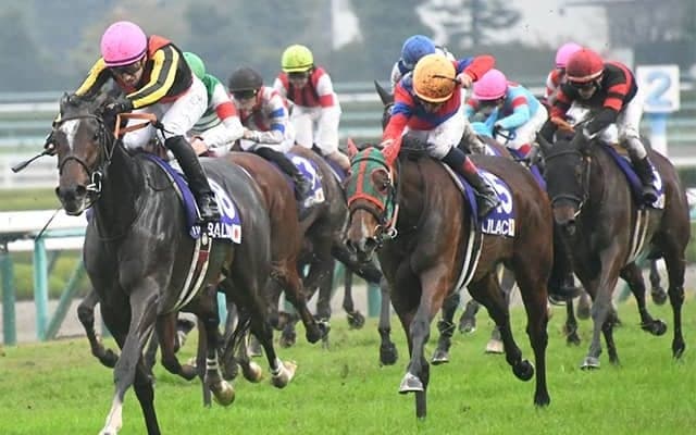 なぜイギリス君主の名前がレース名に？ エリザベス女王杯半世紀の歴史をたどる