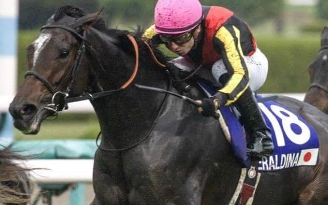 全姉ジェラルディーナに“エールV”なるか 良血馬がR.ムーア騎手を背にデビュー