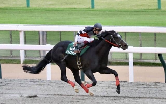 【武蔵野S】横山武「先が楽しみ」ドライスタウトが重賞3勝目