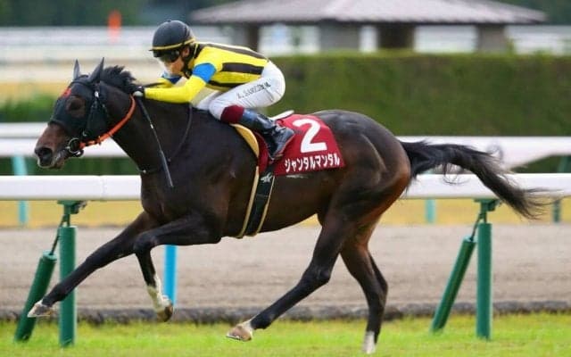 【デイリー杯2歳S】ジャンタルマンタルがデビュー2連勝