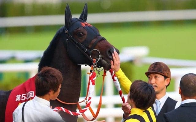 【デイリー杯2歳S】鮫島駿「自信ありました」ジャンタルマルタルがデビュー2連勝