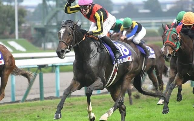 【今日の注目ポイント】京都で秋の女王決定戦エリザベス女王杯、ハンデ重賞の福島記念