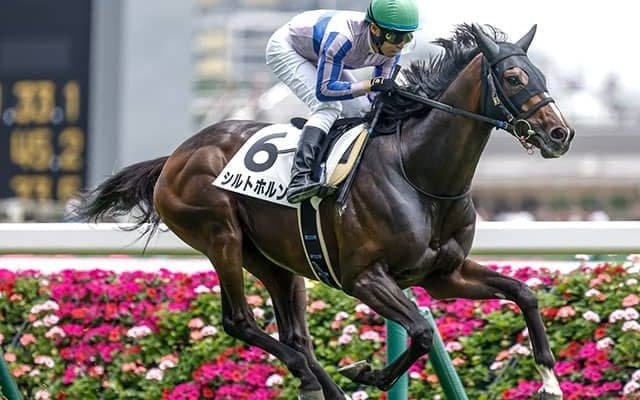 【福島記念予想】秋の福島名物のハンデ戦 小回りコース故に操作性と機動力が勝敗を分ける