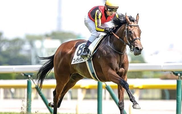 【エリザベス女王杯予想】京都に戻って好走パターンは変わる!? 過去10年データで見逃せない馬とは