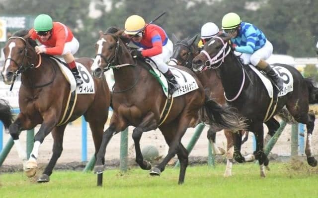 【京都5R新馬戦結果】ゴールドシップ産駒アドミラルシップが激戦を制す