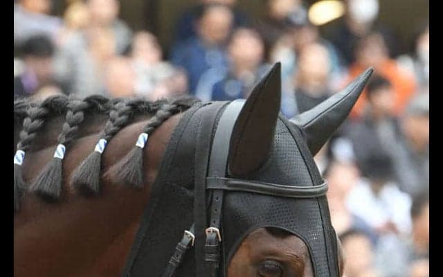 粗品氏は本命ジェラルディーナでハズレ 「そりゃ届かんやろ！」