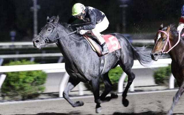 【高知・浦戸湾特別】デルマルーヴルが好位から抜け出す…宮川「馬の力に助けられた」