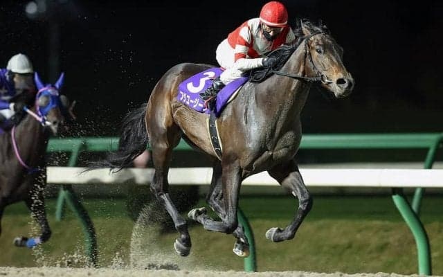 【盛岡・南部駒賞】フジユージーンがデビューから無傷の5連勝…村上忍「良い内容の勝ち方」