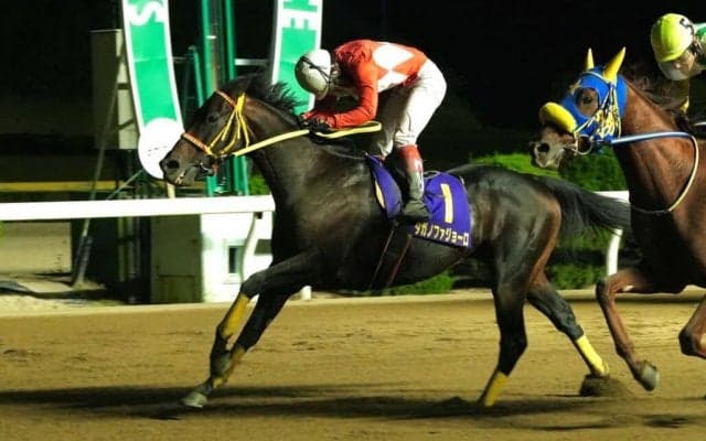 【佐賀・九州大賞典】タガノファジョーロが接戦を制する…田中純「外へ行ってしまい申し訳なかった」