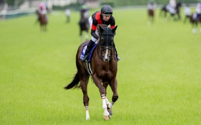 【マイルCS登録馬】セリフォスなど16頭