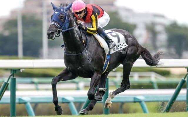 【東スポ杯2歳S見どころ】サトノダイヤモンドの甥フォルラニーニが無傷2連勝狙う