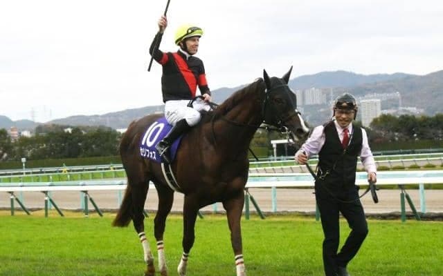 【マイルCS見どころ】セリフォスが父ダイワメジャーと親子で連覇を目指す