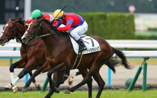 【新馬/京都5R】ゴールドシップ産駒 アドミラルシップが接戦を制する