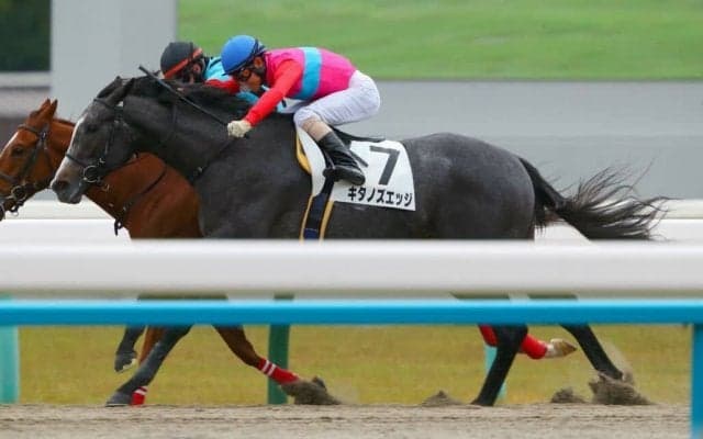 【新馬/京都4R】ジョーカプチーノ産駒 キタノズエッジが接戦を制する…断然人気ジェネラーレは敗退