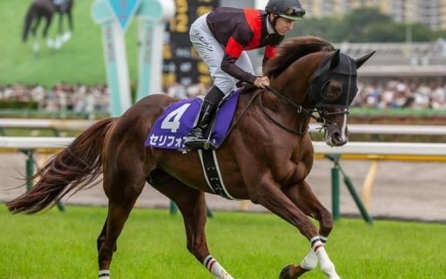 マイルCS想定騎手16頭 セリフォスは川田将雅騎手、シュネルマイスターはC.ルメール騎手