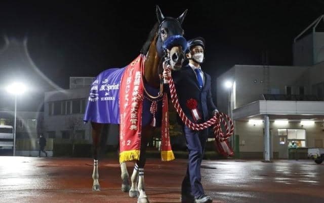【先週のJRA抹消馬】重賞4勝の快速馬ダンシングプリンス、10歳セン馬アストラエンブレムなど