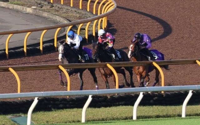 GI・2勝ヴィブロスの仔 シヴァースがムーア騎手背にスタンバイ/関西馬メイクデビュー情報