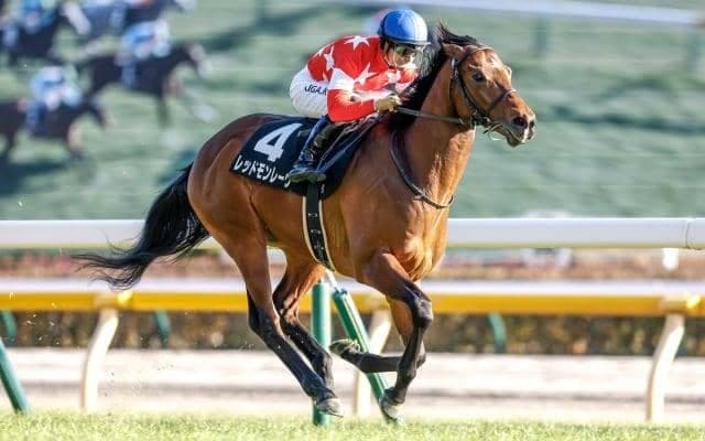 【AI予想・マイルCS】秋のマイル王決定戦は波乱の可能性も!?  人工知能が示す意外な本命候補とは