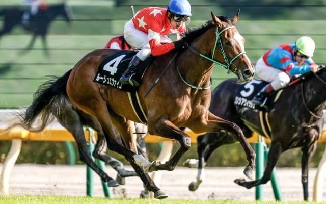 母は世界的な超良血馬 成長力と底力に秀でたルージュエヴァイユ
