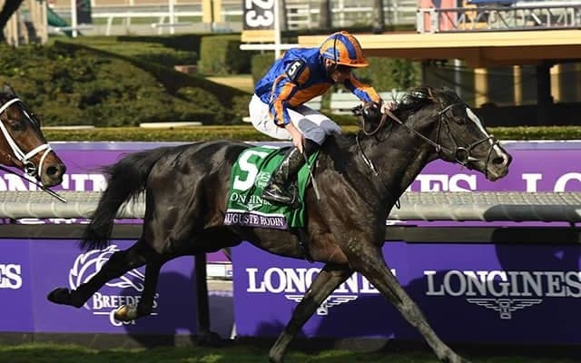 BCターフを制したディープ産駒オーギュストロダンが現役続行へ A.オブライエン師が表明