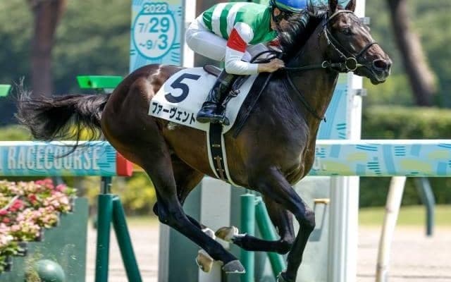 【東スポ杯2歳S展望】2歳戦屈指の出世レース、決め手勝負になりやすい