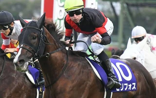 【マイルCS予想オッズ】セリフォスが予想1番人気
