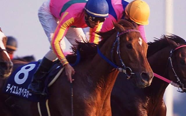 ベストパートナーと思う騎手と競走馬は？ グランドスラム馬からアイドルホースまで多彩な声