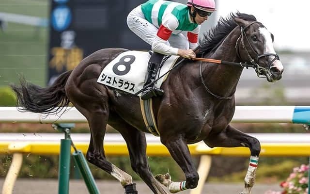 【東スポ杯2歳S予想オッズ】シュトラウスが予想1番人気