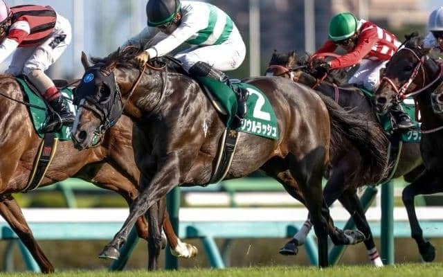 【マイルCS展望】秋のマイル王決定戦、ソウルラッシュの初戴冠を期待したい