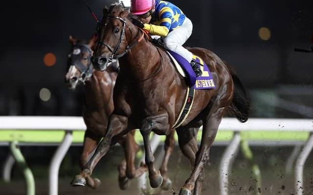 ドンフランキーに骨折が判明 今後は3カ月以上の休養へ