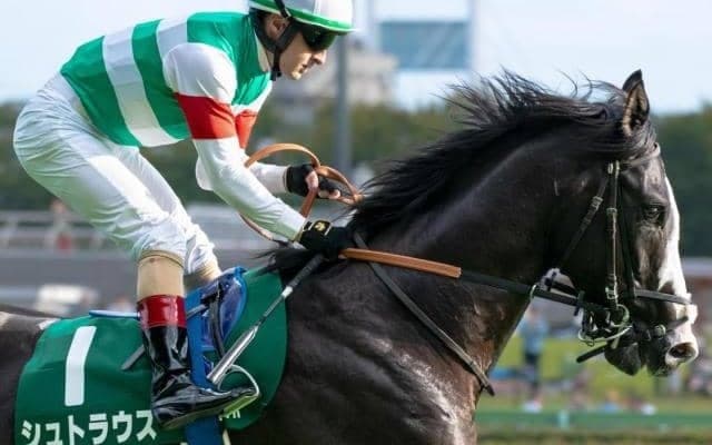 圧倒的なGI馬輩出率！ 東スポ杯2歳Sが“出世レース”といわれる理由を探る