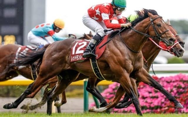 【マイルCS予想】AIが推す伏兵は波乱を演出できるか