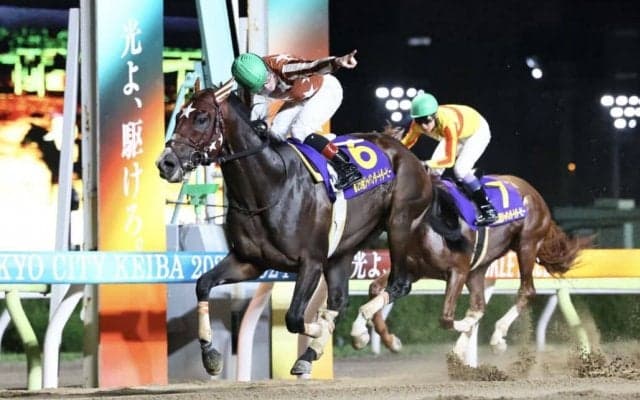 【地方競馬】2024年ダートグレード競走格付け、変更点など発表