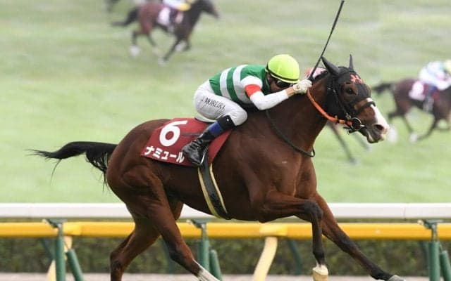 マイルCSで狙うべきは４勝すべてが1600ｍのマイラーと、日本を代表する名牝系の出身馬