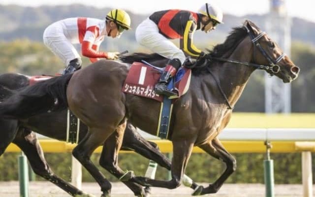 【マイルCS出走馬・騎手確定】シュネルマイスター＆C.ルメール騎手、セリフォス＆川田将雅騎手など16頭