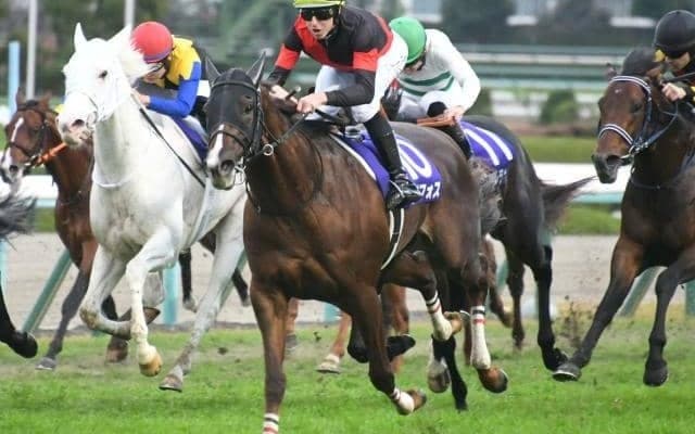 【マイルCS・調教後馬体重】シュネルマイスターは506kg、セリフォスは500kg