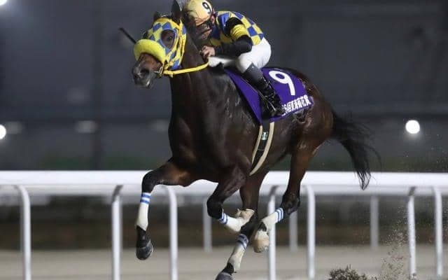 【名古屋・東海菊花賞結果】アンタンスルフレが早め先頭から押し切り重賞連覇